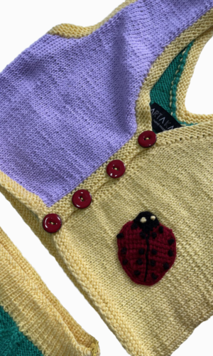 Handmade Knitting Ladybug Set