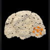 Healing Hat - Thumbnail Image 5